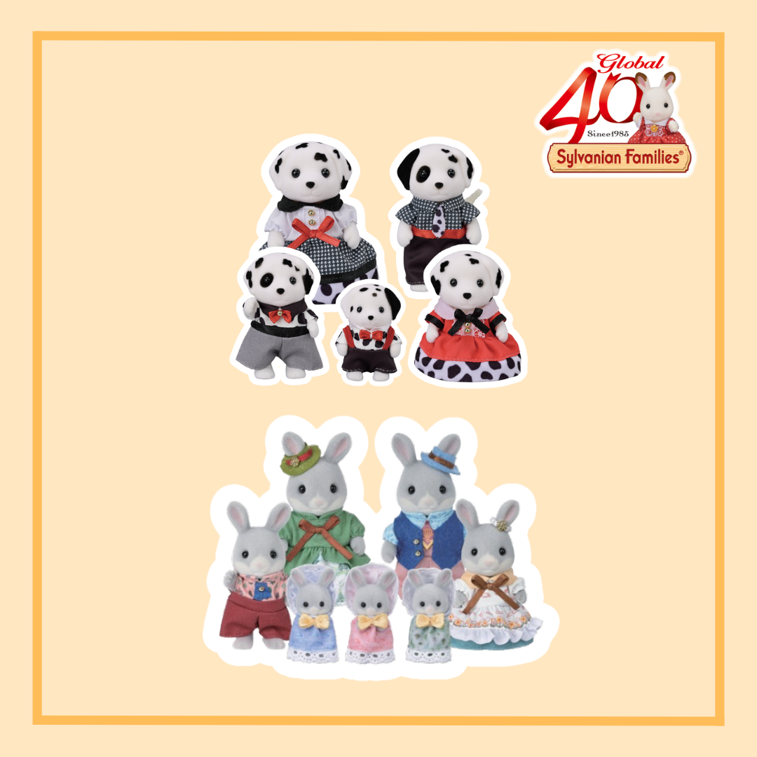 40 周年纪念套装 C