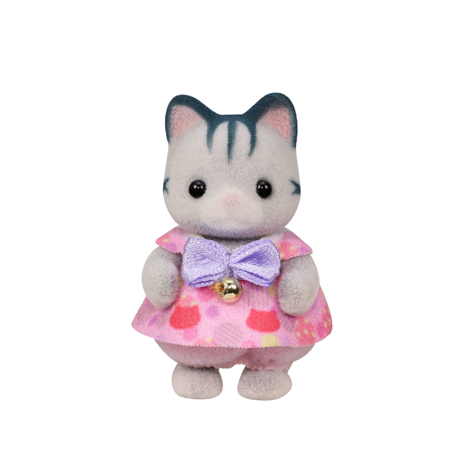 Anak Kucing Comel