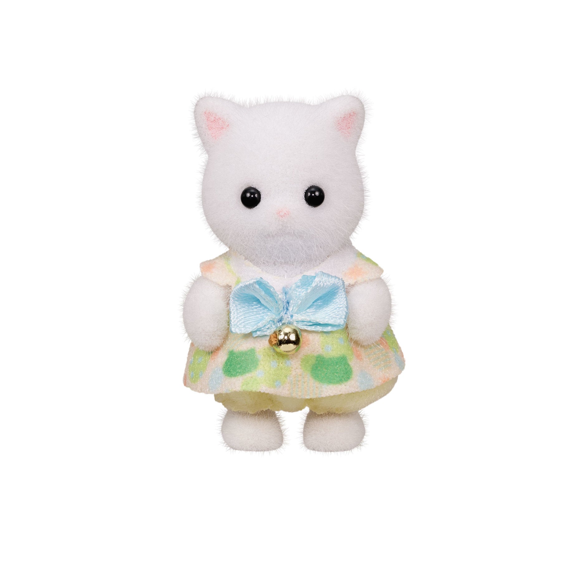 Anak Kucing Comel