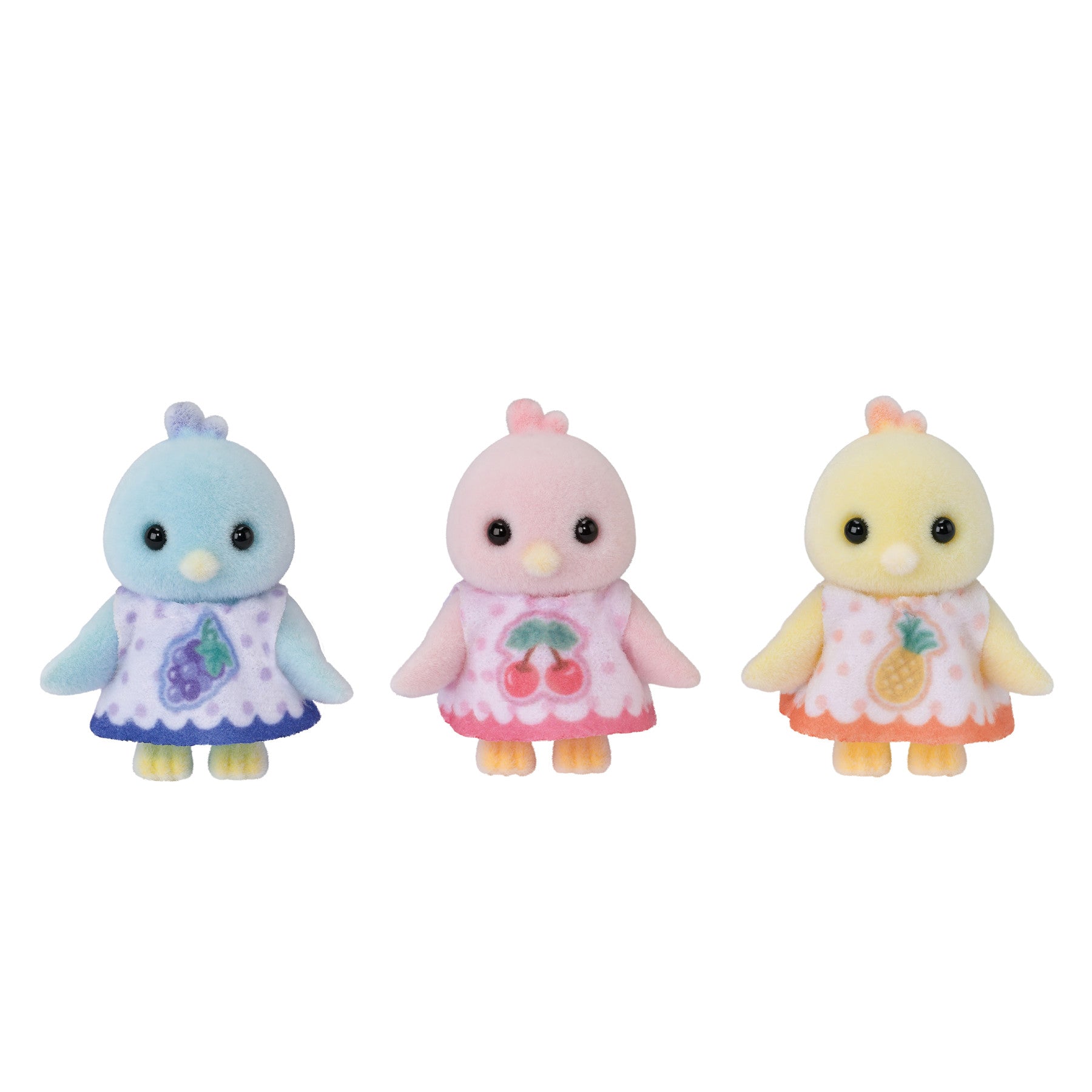 Citrus Bird Family