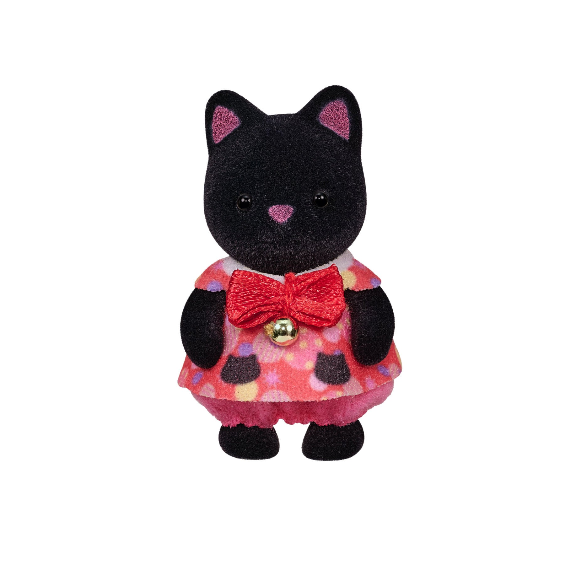 Anak Kucing Comel