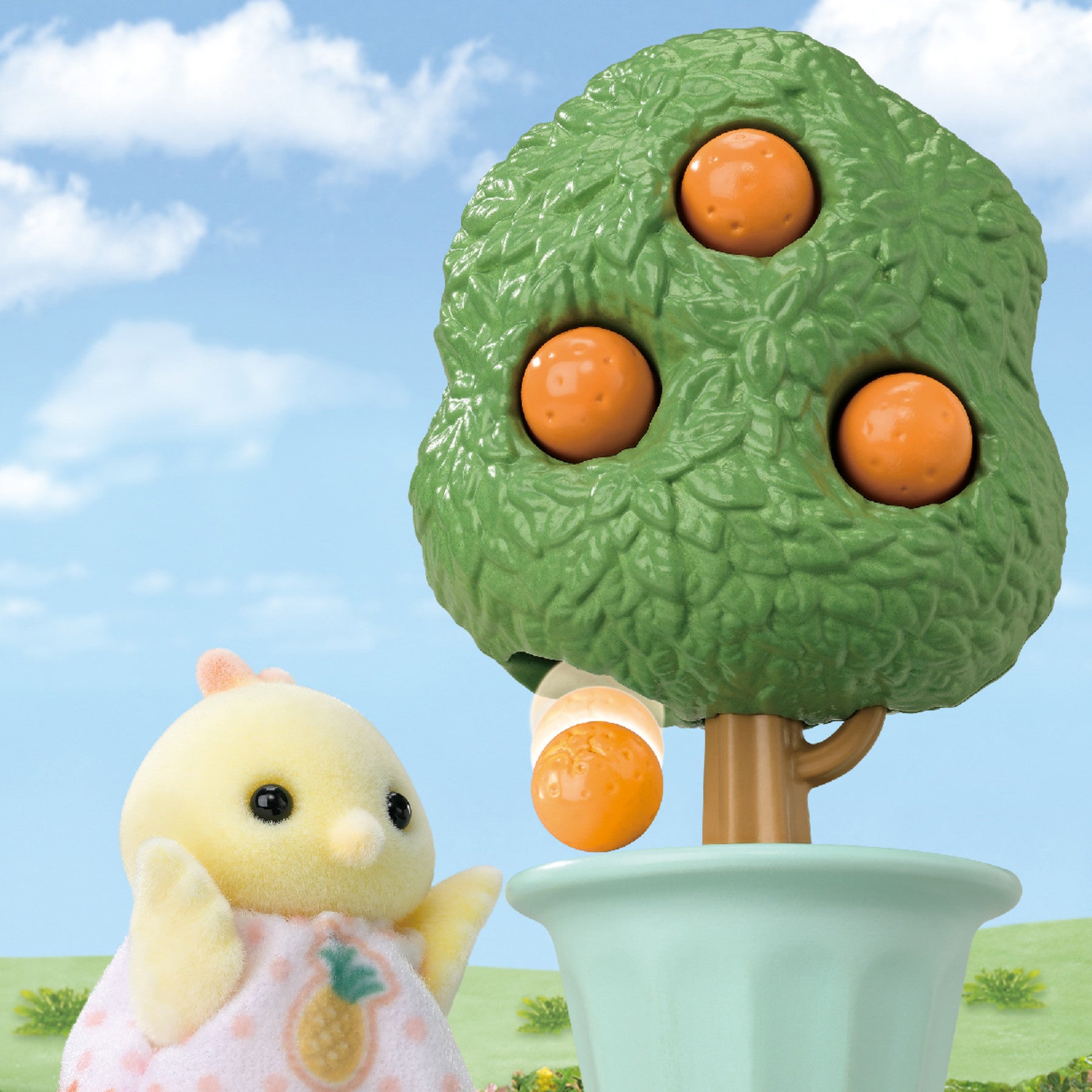 Citrus Bird Family