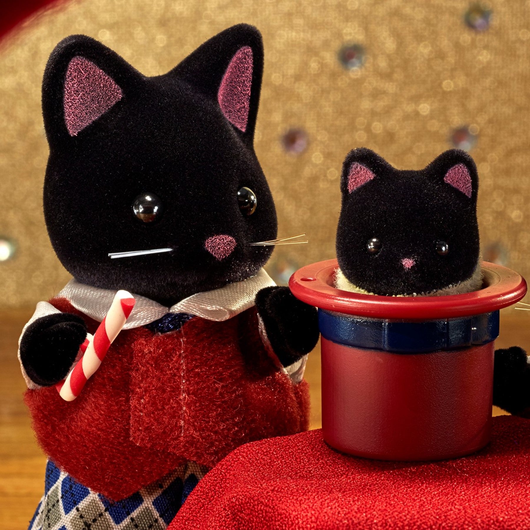 午夜猫家庭