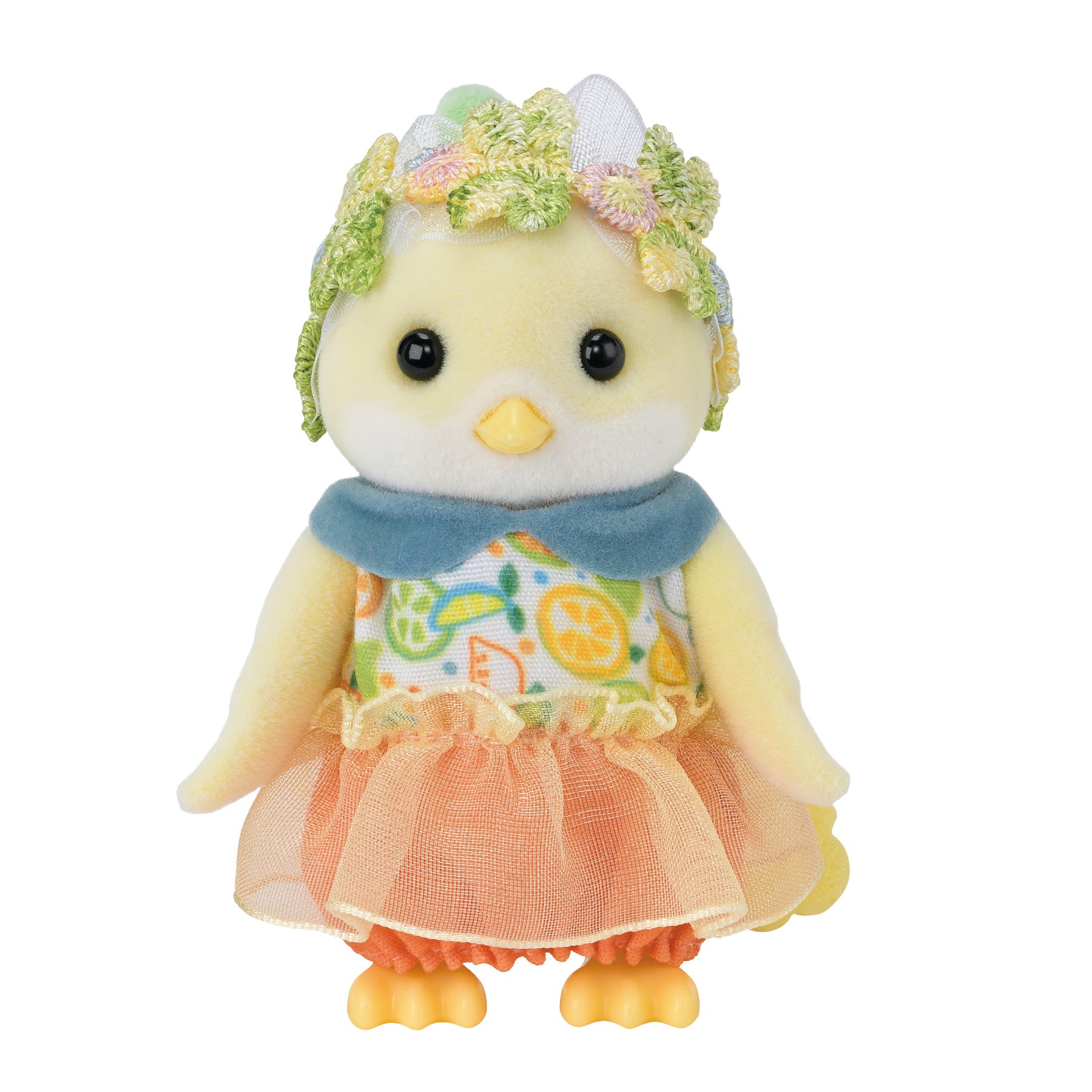Citrus Bird Family