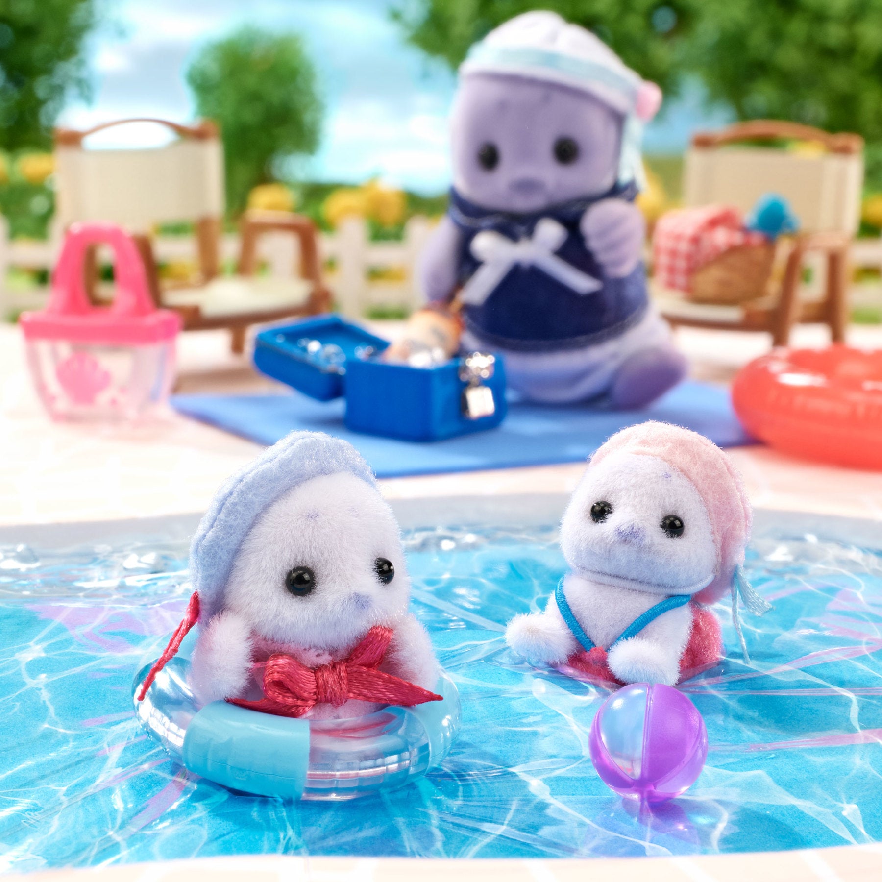 海豹家庭